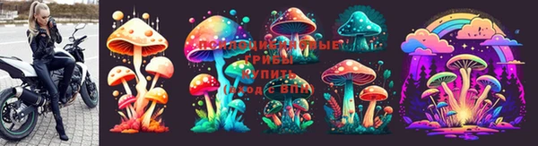 каннабис Алексеевка