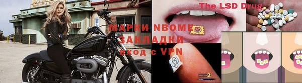 сатива Алзамай
