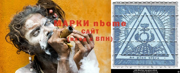 сатива Алзамай