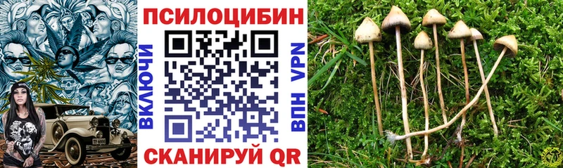 Псилоцибиновые грибы Psilocybine cubensis  Грайворон 